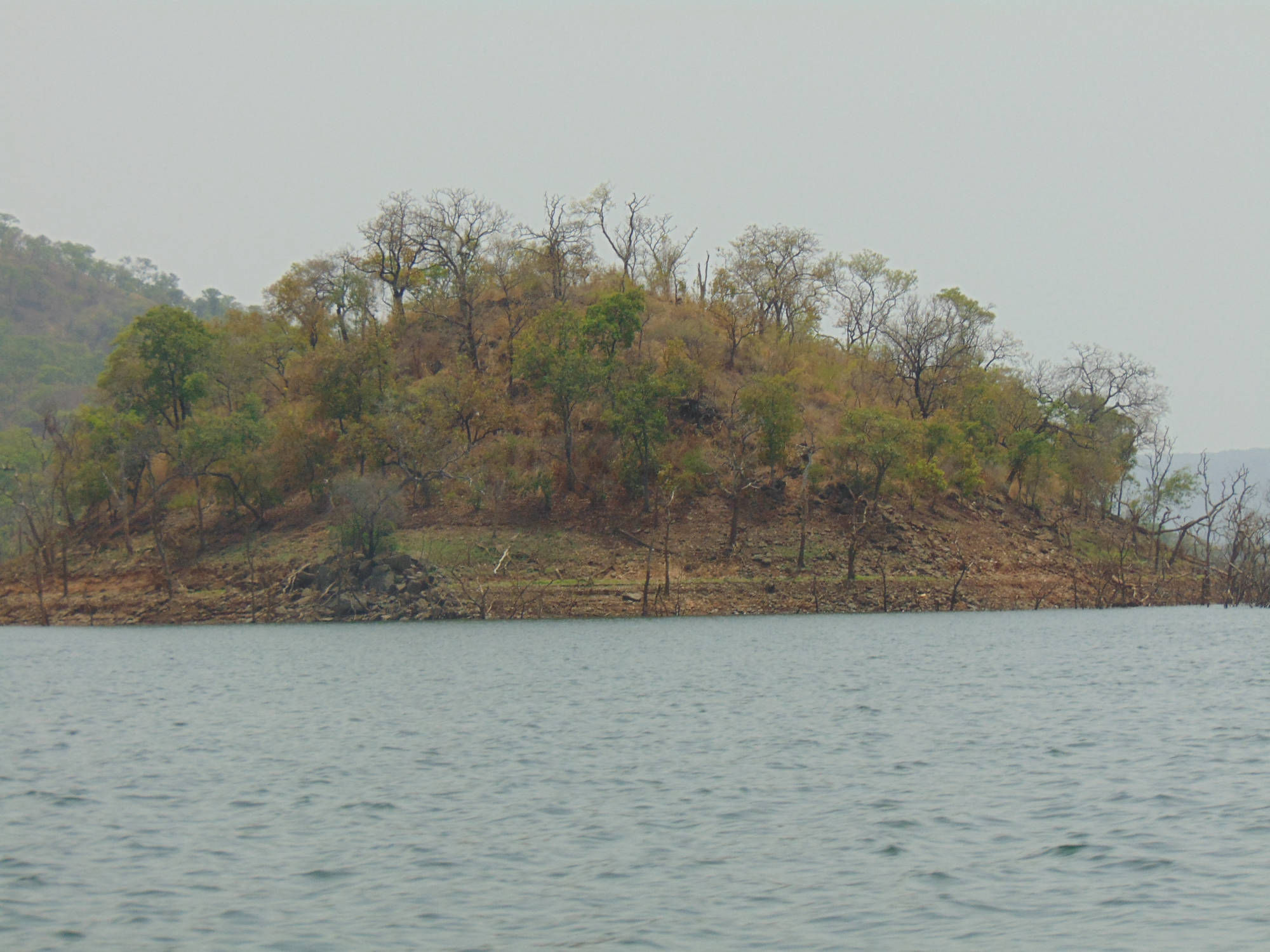 Island in the middle of Black Volta, Banda