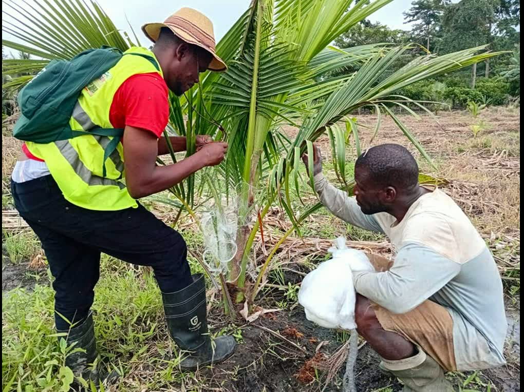 agric